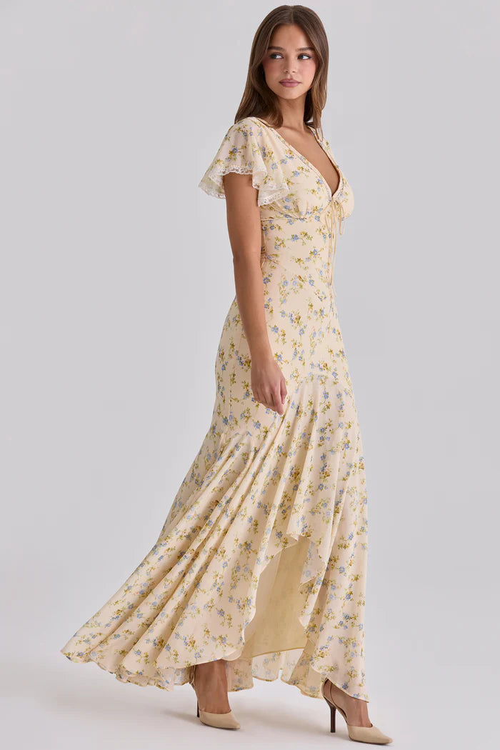 Robe Maxi Élégante Amina pour Femmes